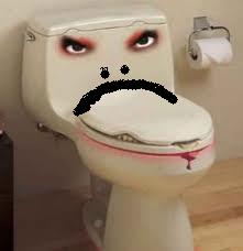 Toilettes bouch&eacute;es paris TEL 0605130513 D&eacute;bouchage &agrave; petit Prix