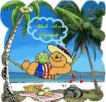 Rob Air Voyages