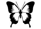 Sylvain R�veur