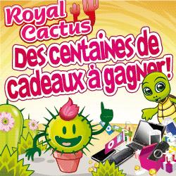 Royal cactus .. &ecirc;tes-vous pr&ecirc;t  vous faire piquer?
