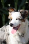 fighting spirit ou......la JOIE dans la t�te....
