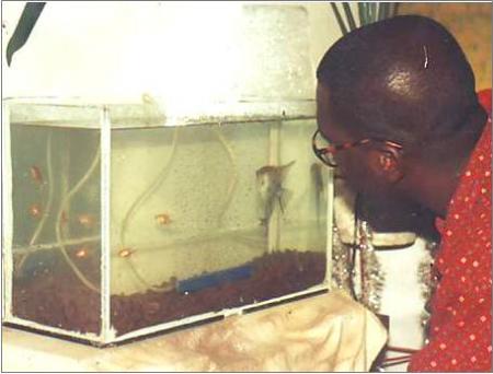 L'aquariophyle