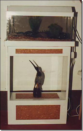 Aquarium 01