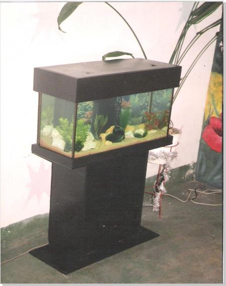 AQUARIUM 03
