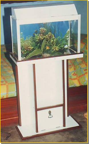 AQUARIUM 02 