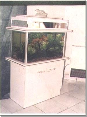 Aquarium 04 