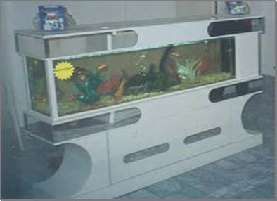 Aquarium 07