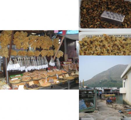 Lantau Island 3