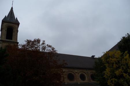 Altkirsch 10 octobre 2010