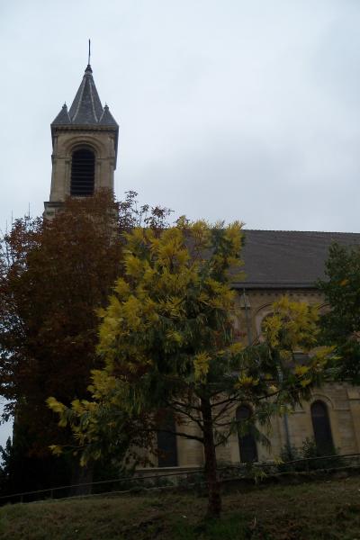 Altkirsch 10 octobre 2010
