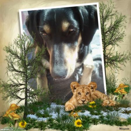 Un petit compagnon pour toi tit filou