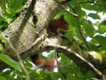 mes photographie nature