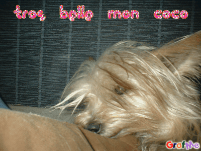 coco