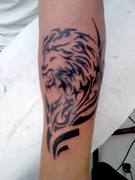 tatouage recouvrement tete de lion tribale