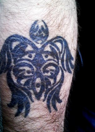 tortue samoan