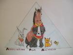 APA Association Pour Animaux