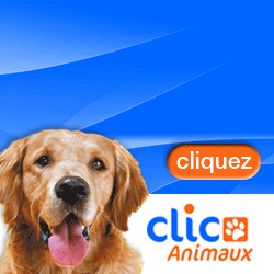 Un clic par jour et c'est un repas offert !