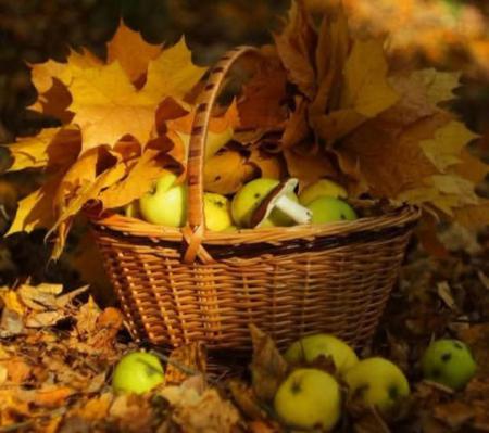 Pommes
