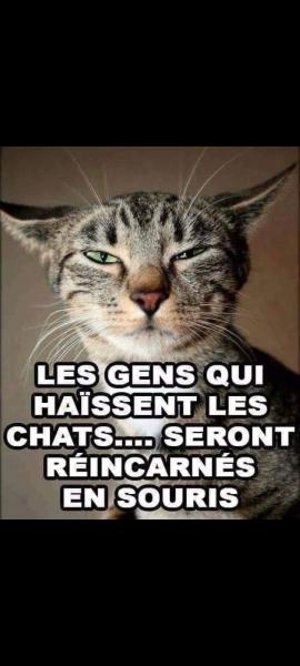 Vrai