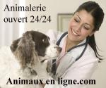 Animaux en ligne (le blog)