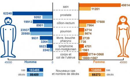 Fr&eacute;quence des cancers