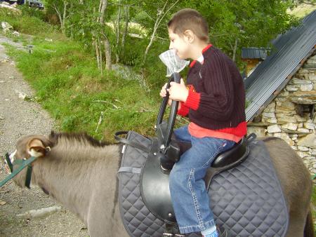 brandon a dos d'ane
