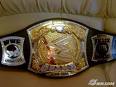 super star de le wwe