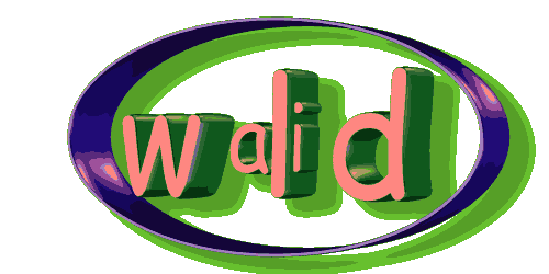 walid et mahir