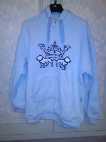 pull bleu clair 