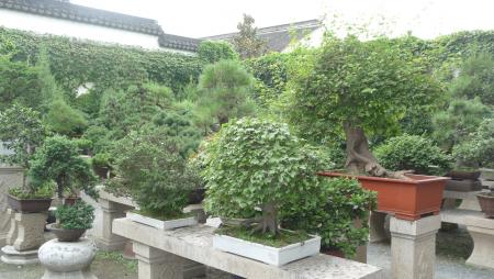 Jardin de Hangzhou