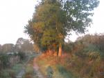 ballade en touraine
