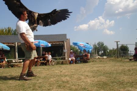 OURS LOUPS RAPACES MARMOTTES LYNX ECT ECT
