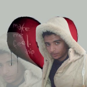 zm wail 