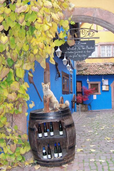 Riquewihr 2 novembre 2010