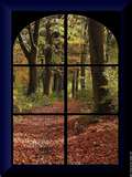 Vent d'Automne