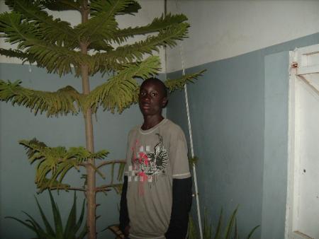 stl c moi