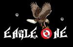 Bienvennue sur le blog de la team Eagle One