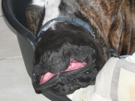 CALIN ZEN !!!!!