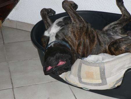  CALIN ZEN !!!!!