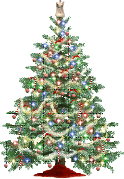 Les sapins de noel 