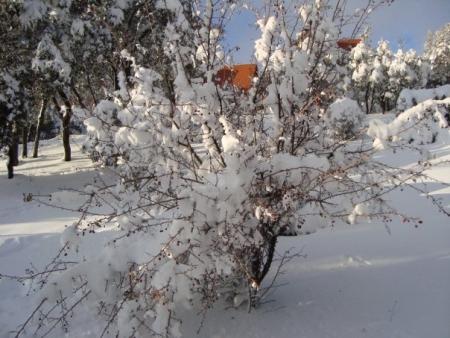 la commune urbaine d'ifrane