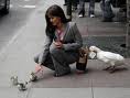 vid�o dr�le