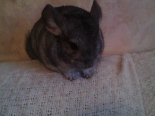 ma ptit zo&eacute;