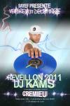 reveillon 2011 lyon