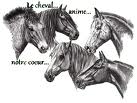 le cheval terre a terre