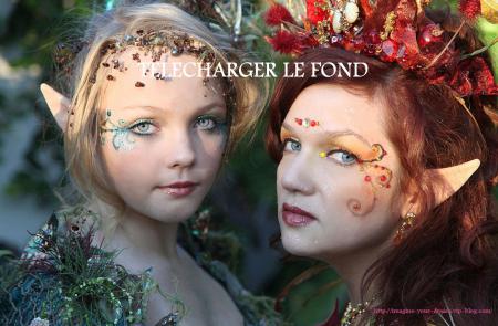 LA MAGIE DE LA FORET