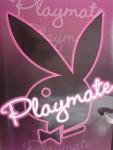 moi en mode playmatte