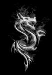 dragon noir