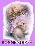 mes photos
