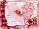 Amour Toujours